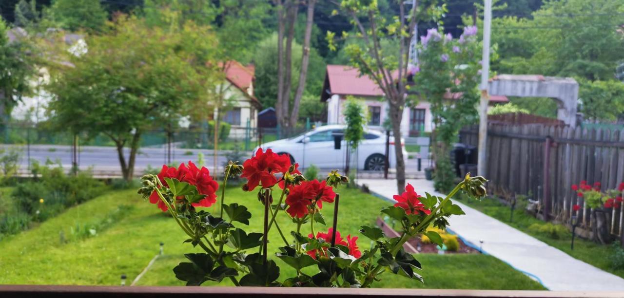 Casa Bunicilor Sinaia Villa Kültér fotó
