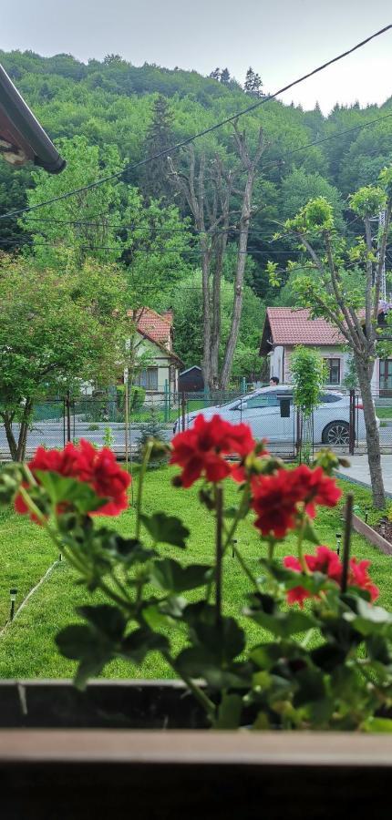 Casa Bunicilor Sinaia Villa Kültér fotó